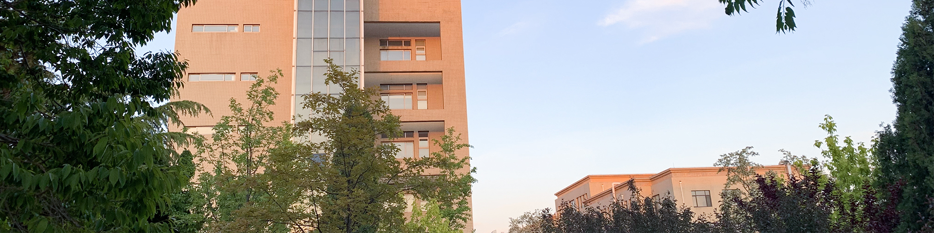 91网站