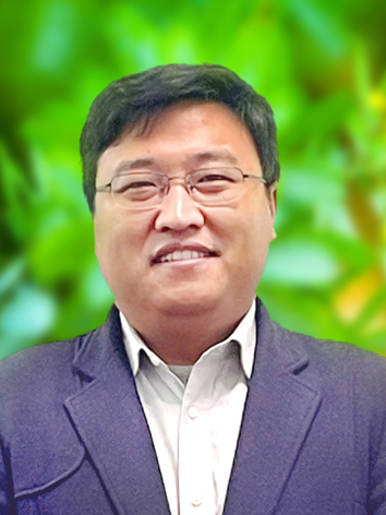 91网站