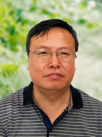 91网站