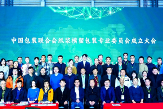 91网站