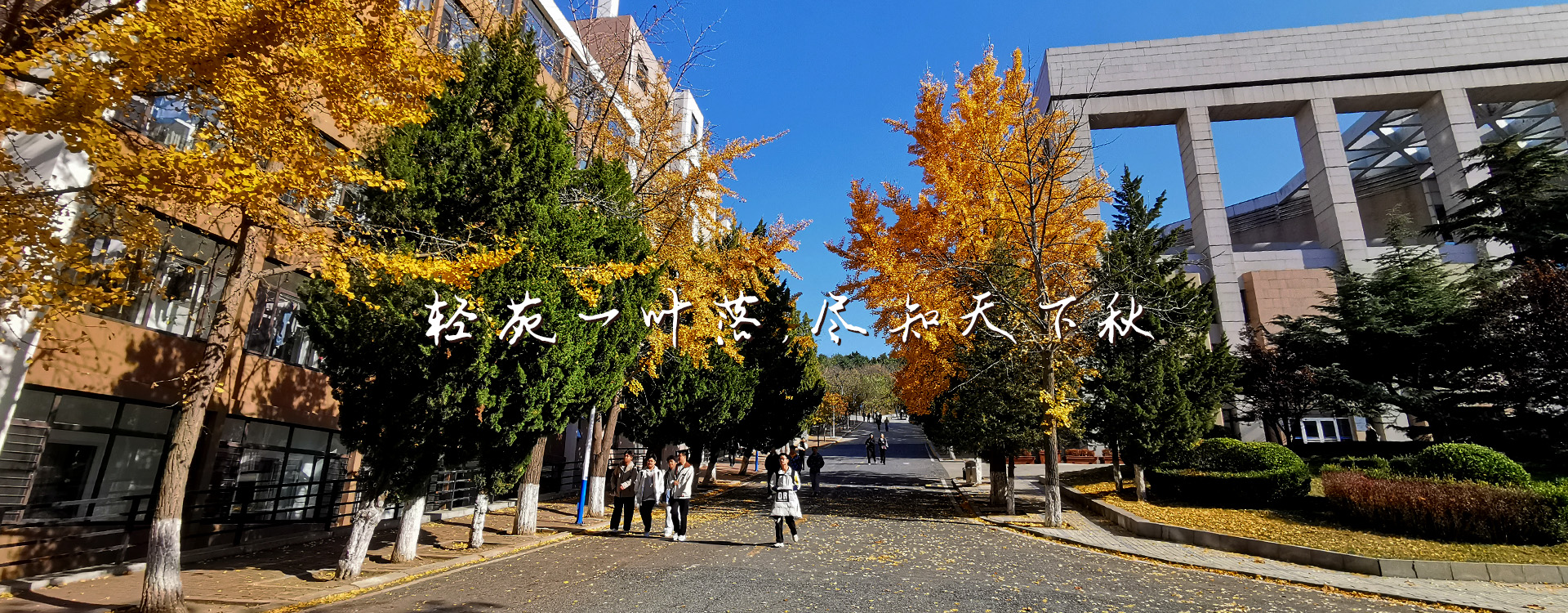 91网站