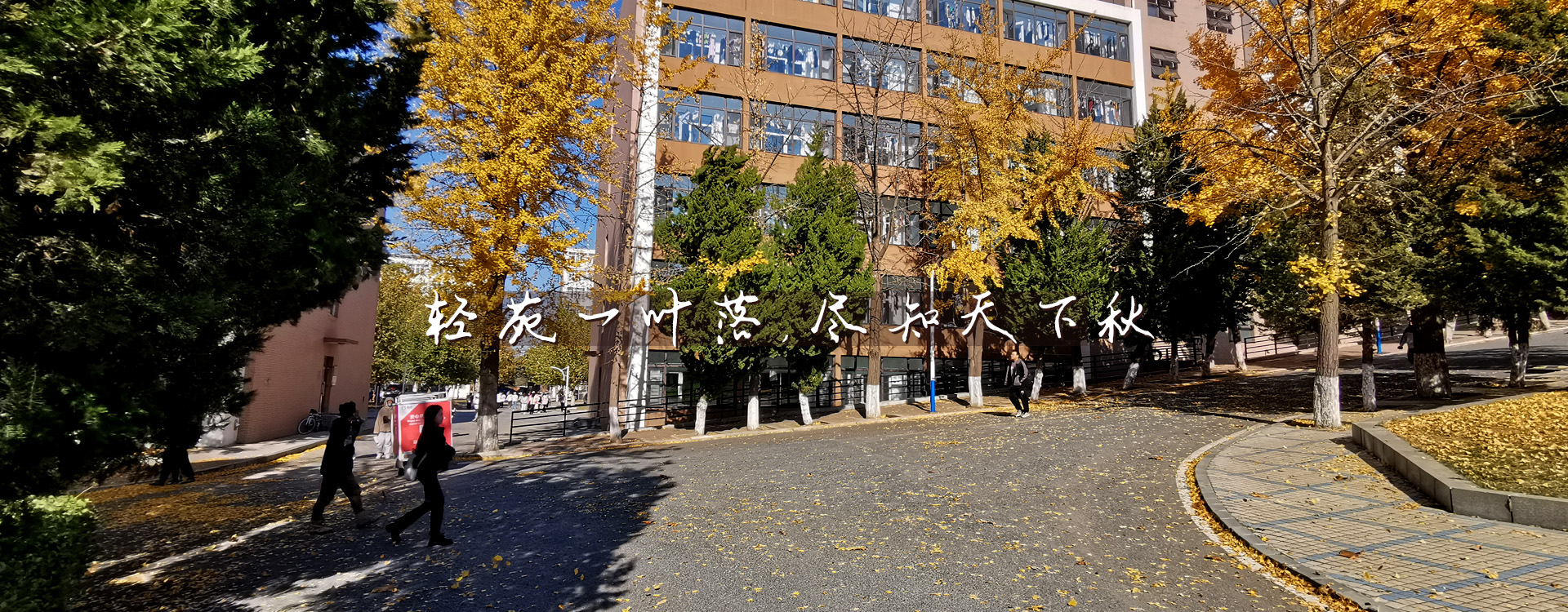 91网站