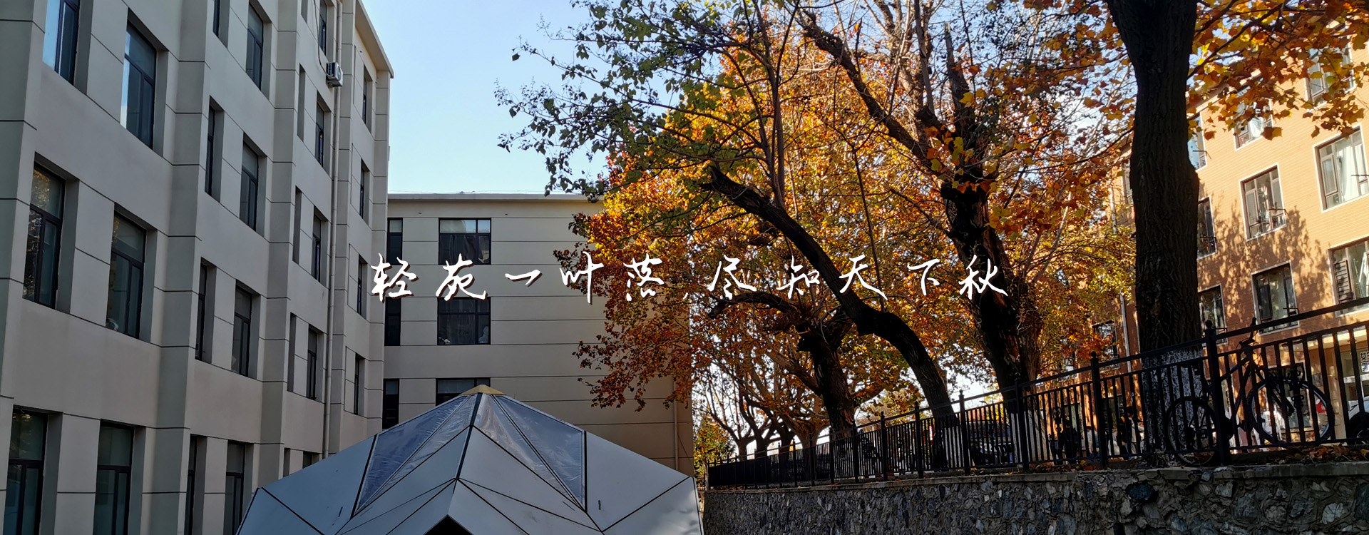 91网站