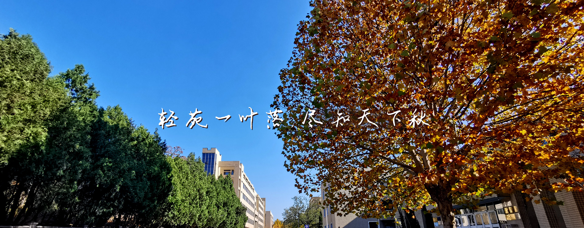 91网站
