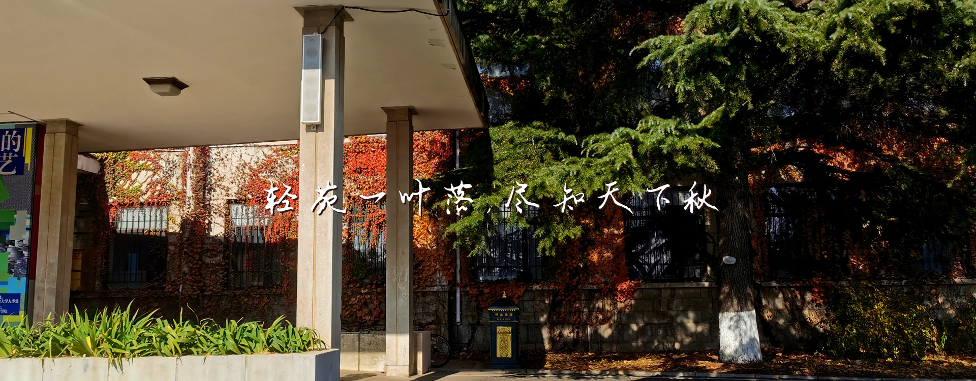 91网站