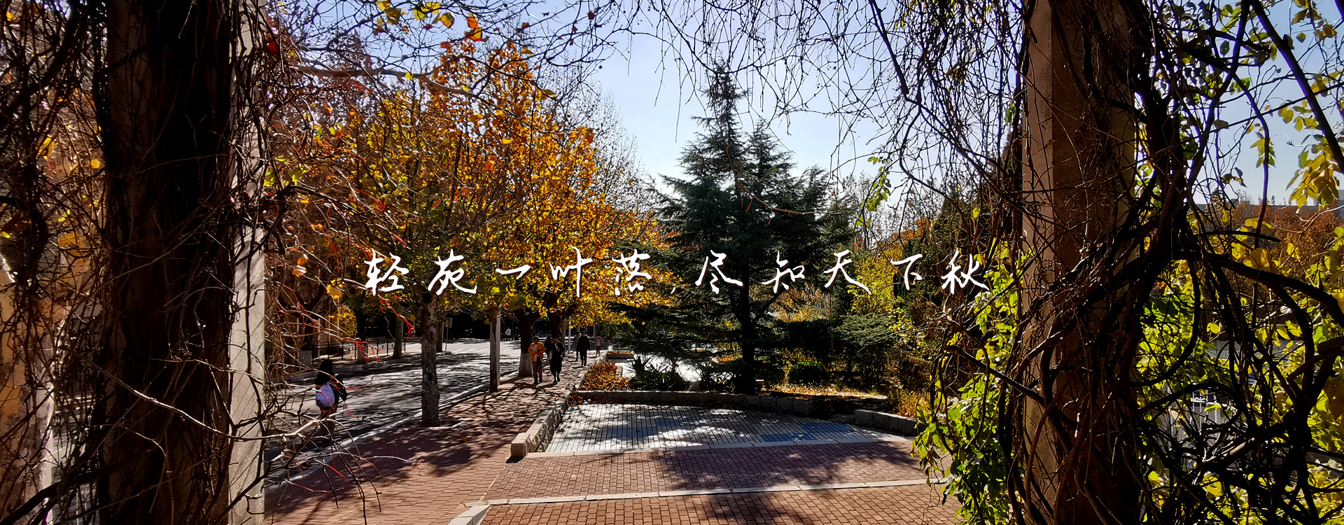 91网站