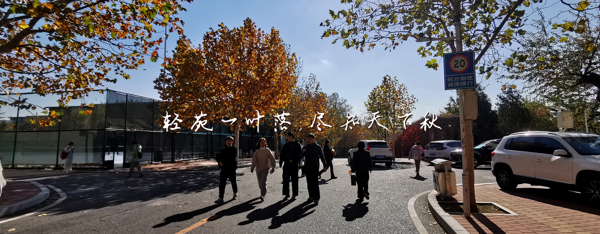 91网站