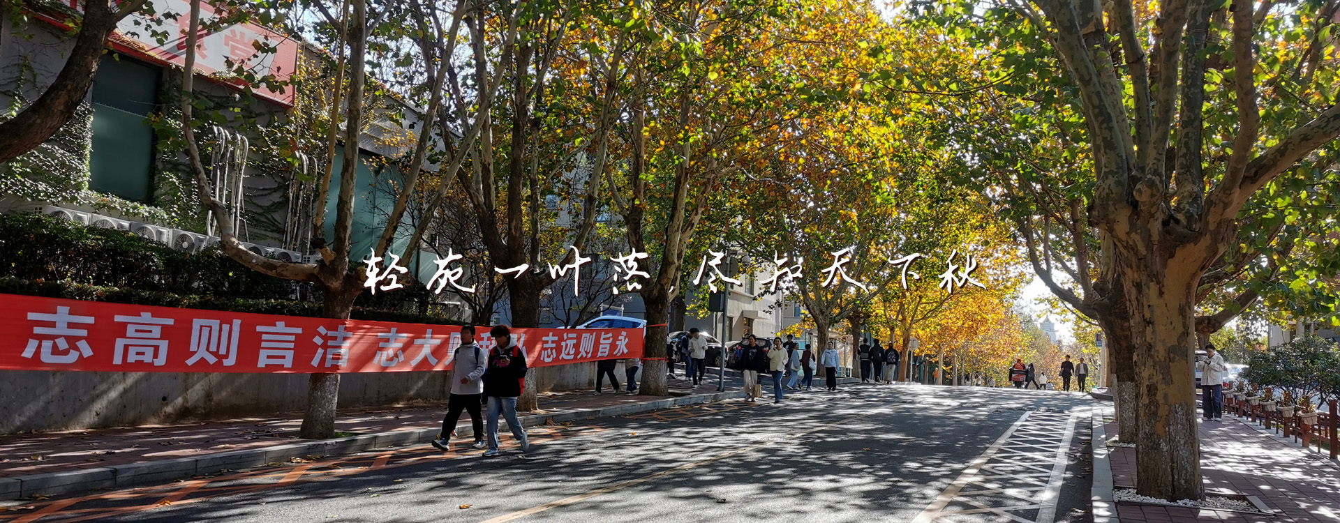91网站