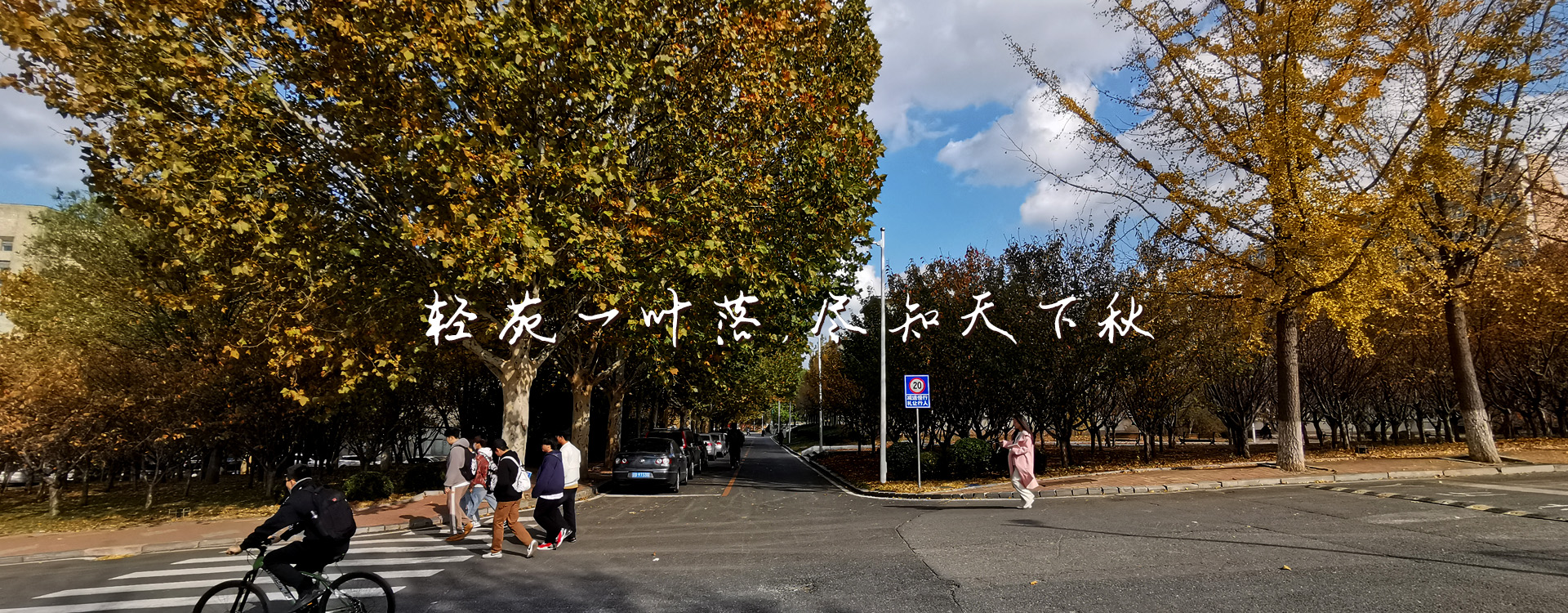 91网站
