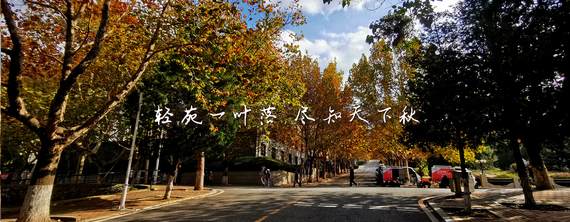 91网站