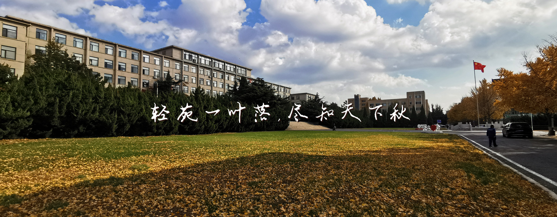 91网站