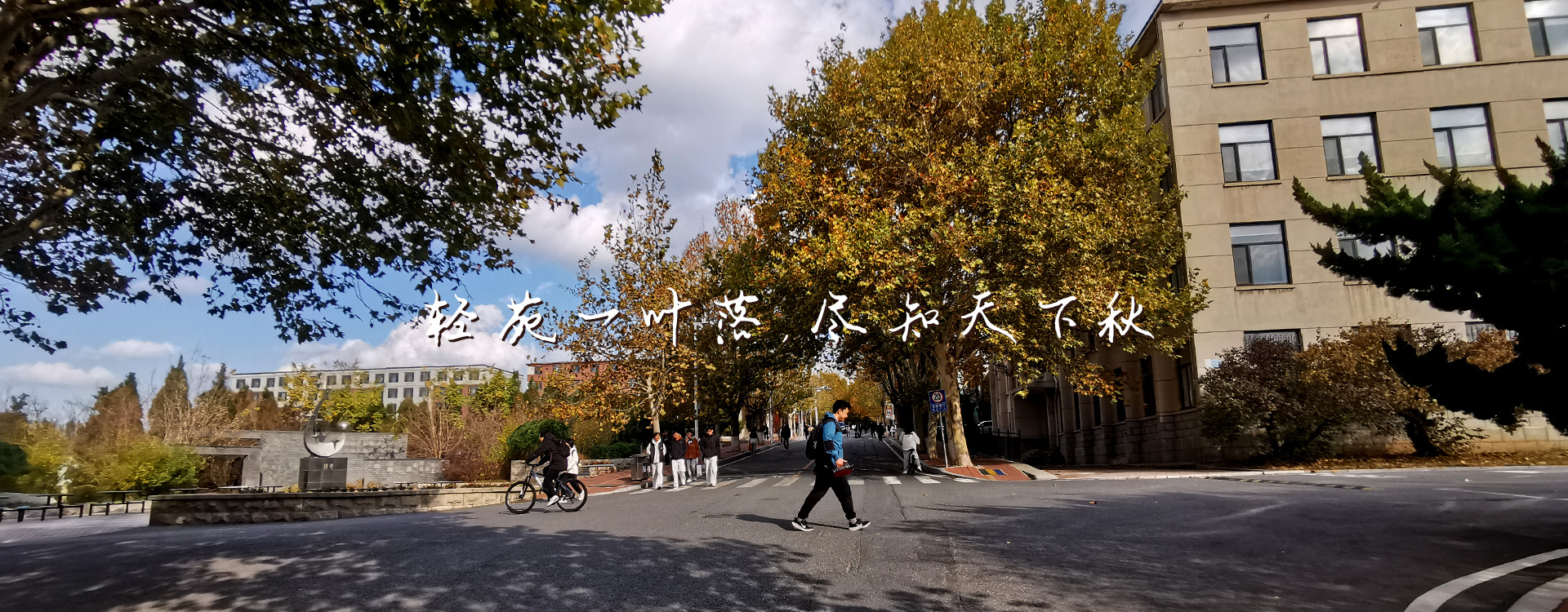91网站