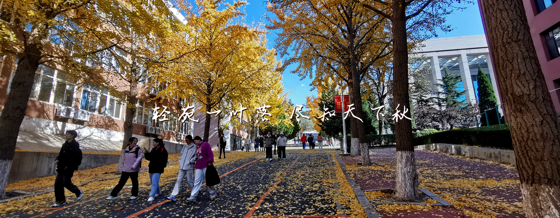 91网站