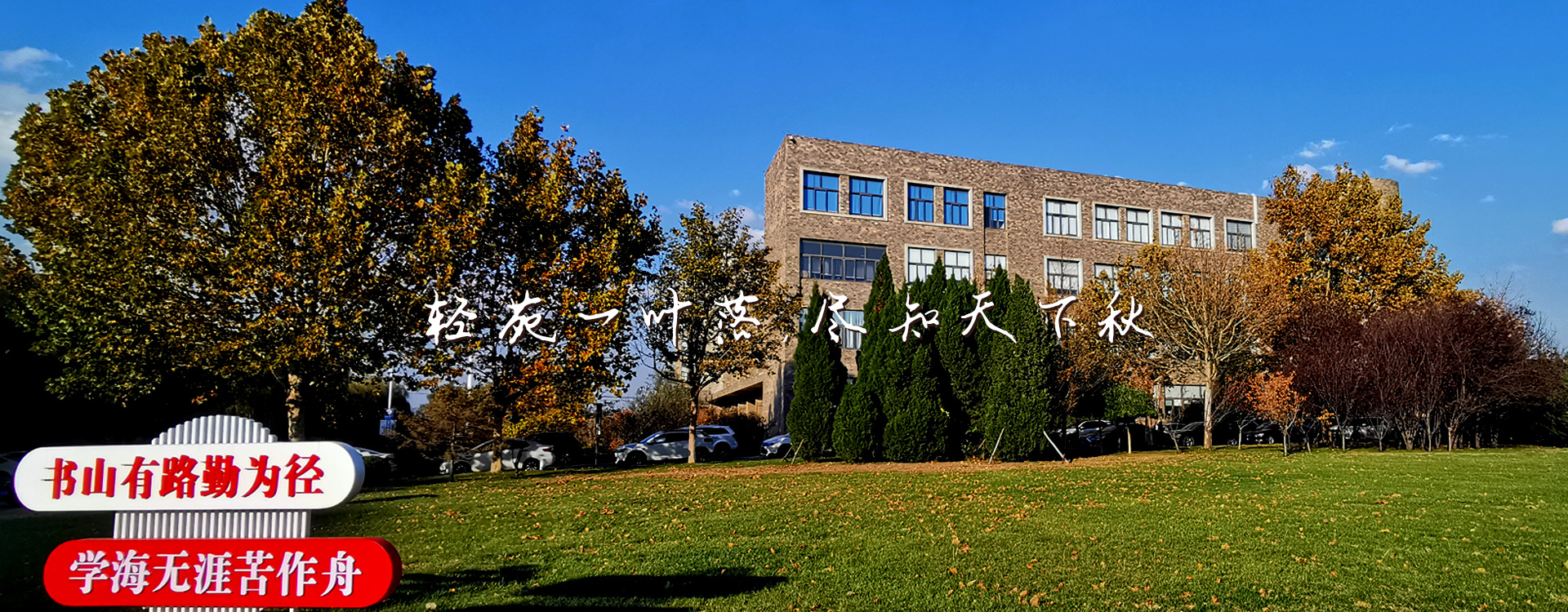 91网站