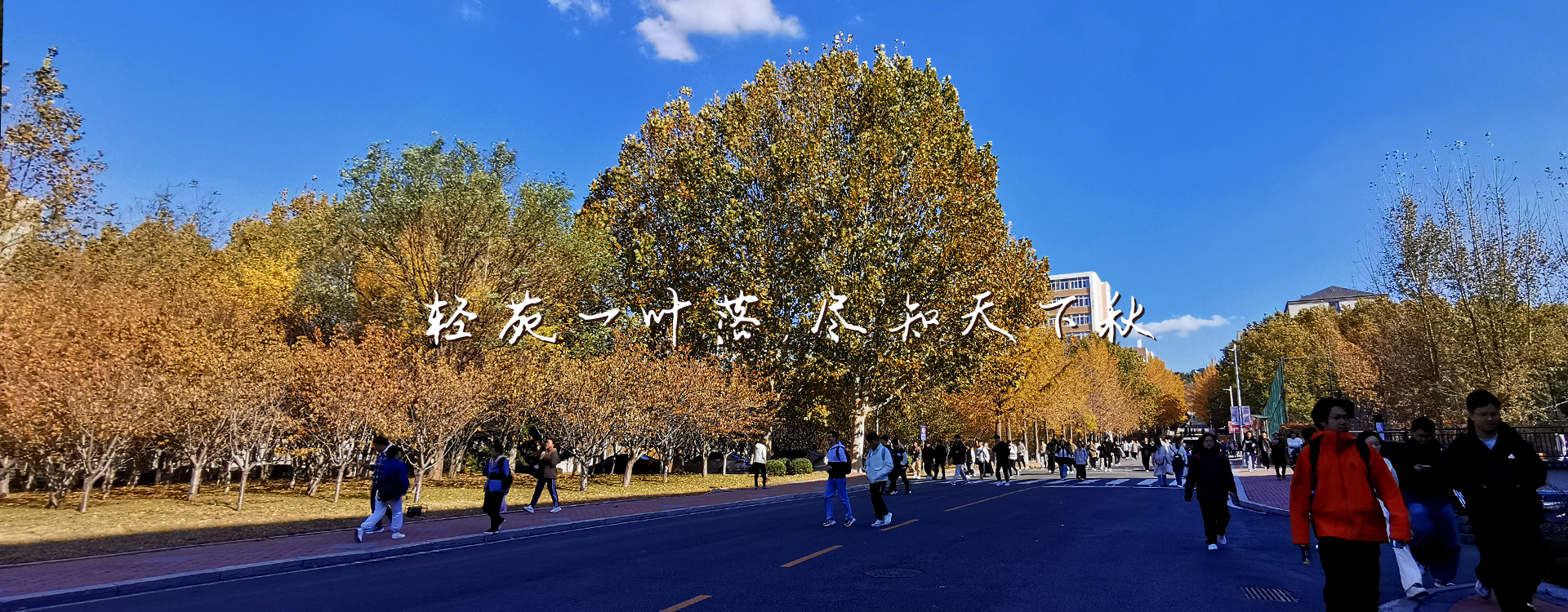91网站