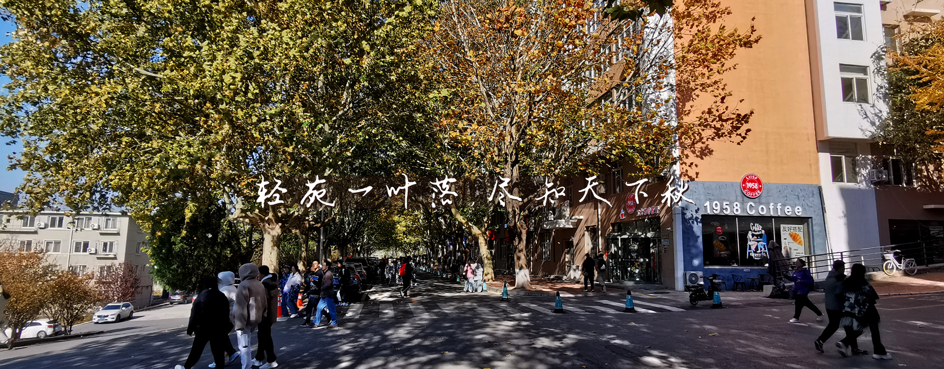91网站