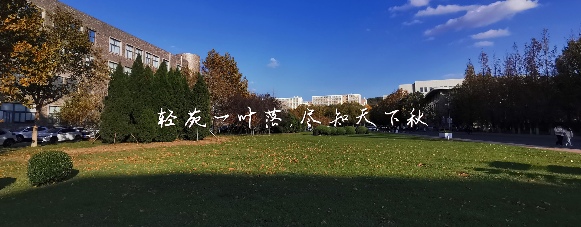 91网站
