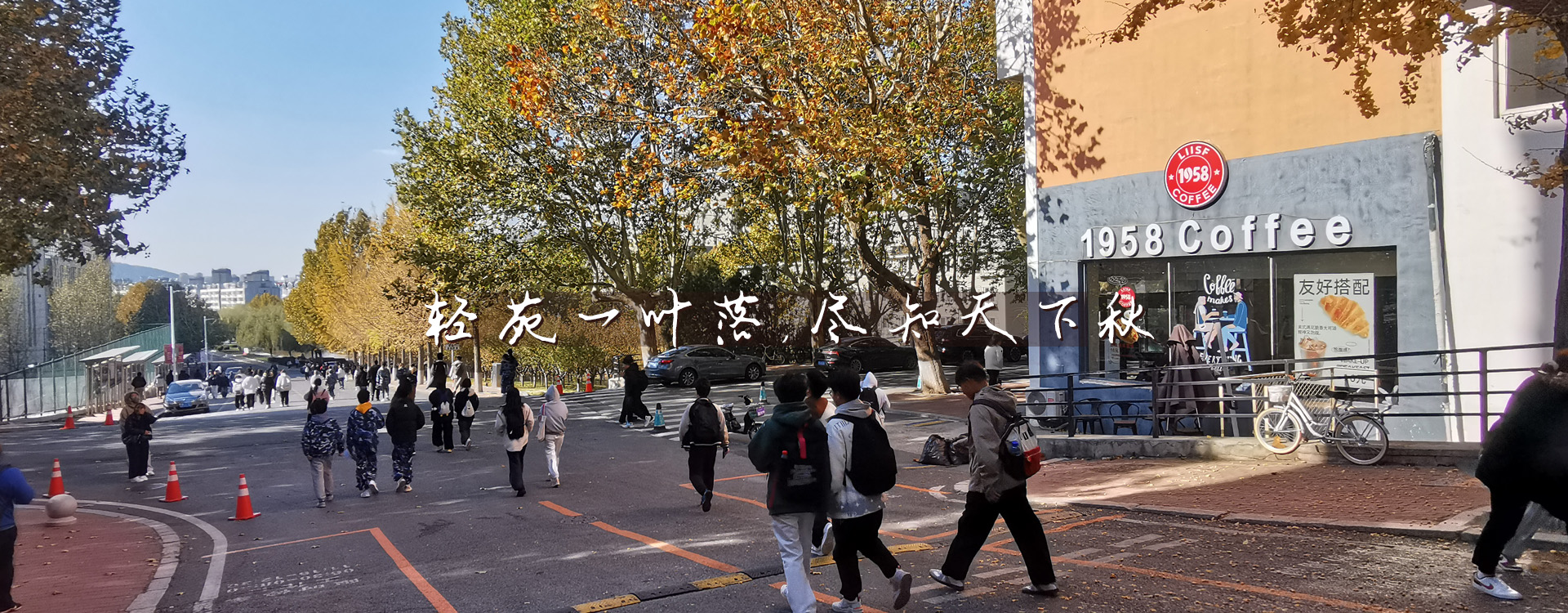 91网站