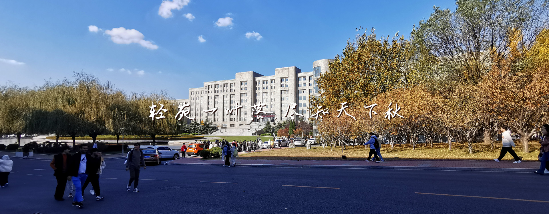 91网站