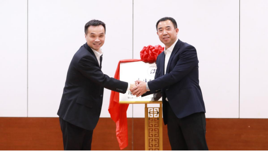 91网站