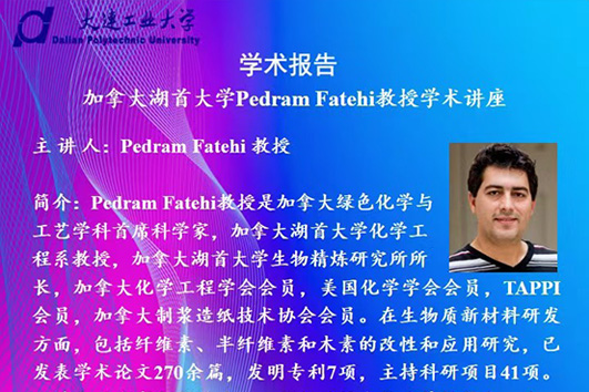 91网站