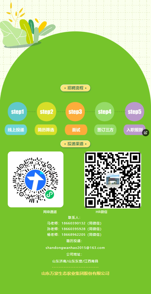 91网站